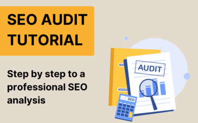 Performing an SEO audit – step-by-step instructions for the SEO check of your website