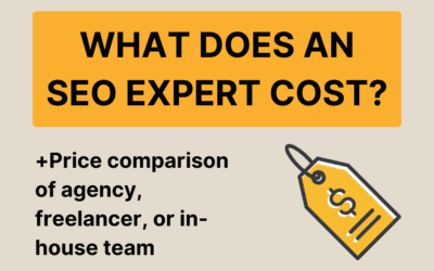 SEO experts, agencies or in-house? Find the best option for your budget!